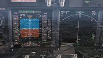 [FSX] PMDG + 737-IMMERSION! IN-FLIGHT TEST