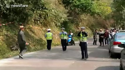 Wild elephant goes on a rampage in China, damaging more than a dozen cars
