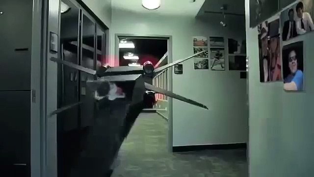 Котята Джедаи из Звездных Войн