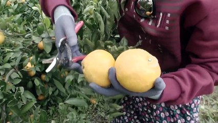 [中字] GFRIEND 你們要去哪 EP2