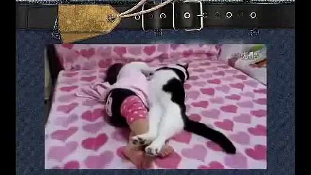 Супер смешные кошки и дети. Ребенок и кошка. Смешные приколы с животными