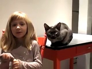 Кот ловко открывает холодильник