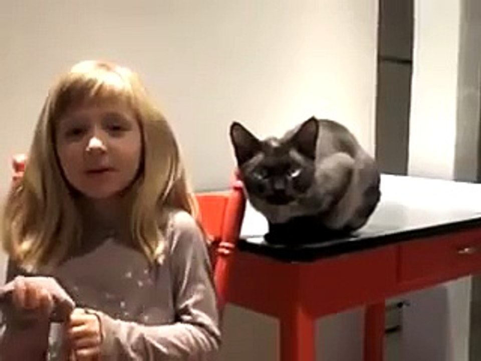 Кот ловко открывает холодильник