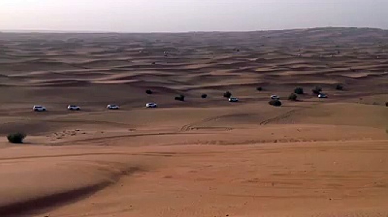 Best Desert Safari Tours in Dubai