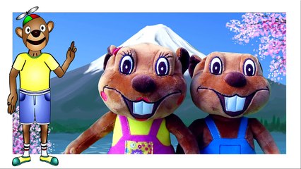 Christmas is Coming Collection | Busy Beavers Special 70 Min, Kids Songs Compilation, Baby Fun