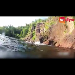 Hayvanların insanlara komiklik içeren saldırıları