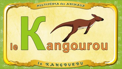 Multipédia des animaux. La lettre K - le Kangourou