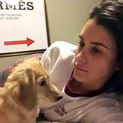 When your dog just wants to go rest in your mouth - Brittany Furlan vine