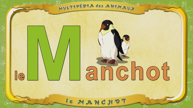 Multipédia des animaux. La lettre M - le Manchot