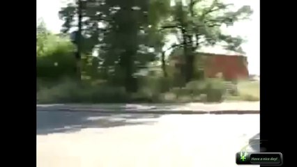 Eğlenceli. videolar, özel, sevimli,ilginç,eğlenceli süper eğlenceli! 6 saniyelik komik bir video!
