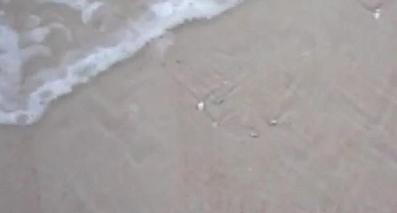 Sular çekilince ortaya çıktılar