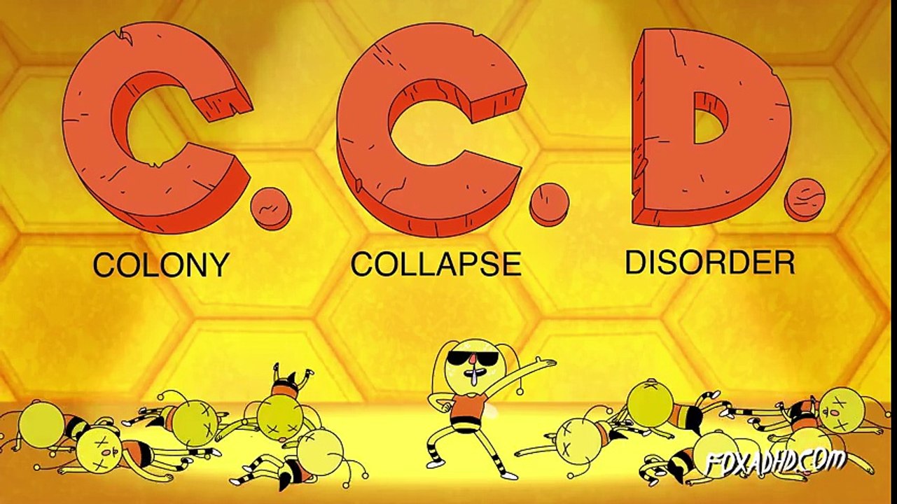 ZZZZY THE DYING BEE