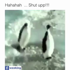 funny clips-funny videos (mast mahol )[7]