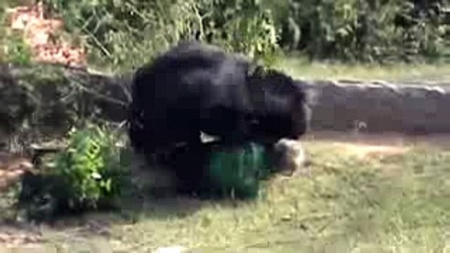 funny clips-funniest videos-best funny-funny site-short clips-comedy clips[7]