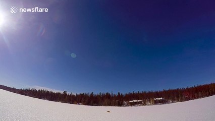 Bald Eagle Grabs Fish