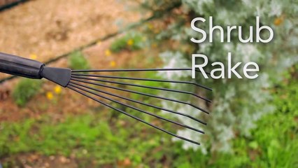 Garden Tool Guides - How to Use a Shrub Rake