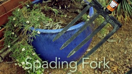 Garden Tool Guides - How to Use a Spading Fork