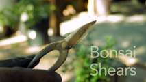 Garden Tool Guides - How to Use Bonsai Shears