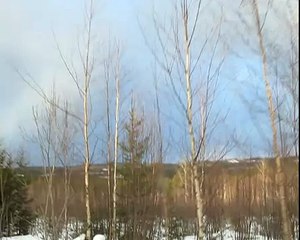 Хаски гонки на собаках, катание на собаках, Taiga Maja