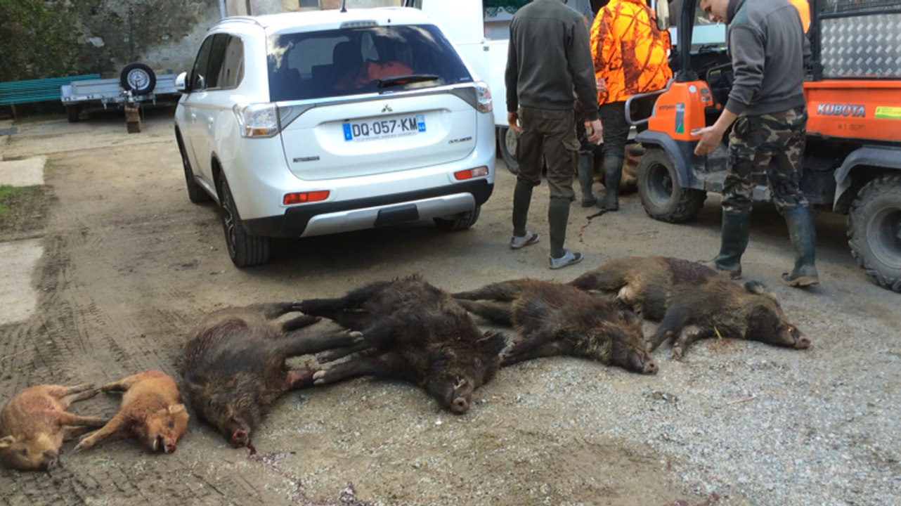 Battue administrative à Saint-Herblain