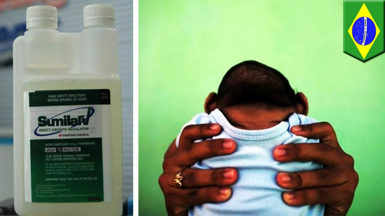 Larvicide, not Zika virus, is the real cause behind Brazil's microcephaly outbreak, Argentinian doctors claim