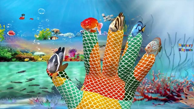 Shark Cartoons Johny Johny Yes Papa Rhymes | Fish Finger Family Nursery Rhymes for Children