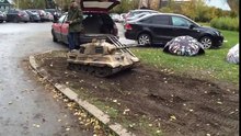 Купил себе Тигра