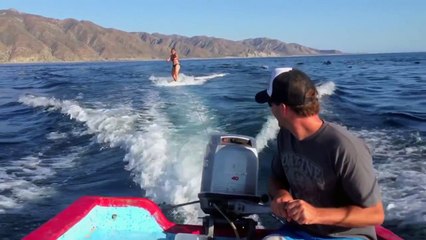 Une femme faisait du ski nautique quand des dauphins l'ont rattrapé pour nager avec elle