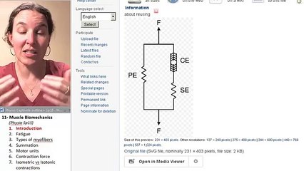What is Biomechanics?