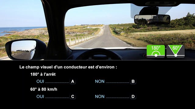 Question 15 - Capacité de perception, d'évaluation et de décision