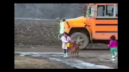 Awww Dogs dont want the Kids to go to School