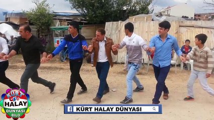 bitlis yarım gorani halayı
