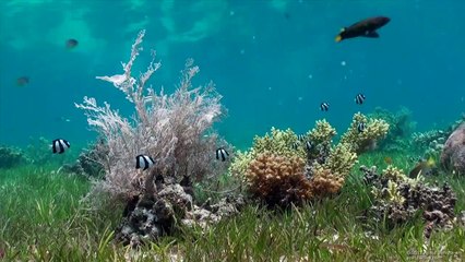 ￦전주출장마사지(010-5856-0418)％정읍출장안마+마사지+안마