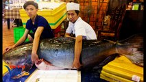 Tin Tức Việt | Cặp cá tra dầu 200kg và cá trà sóc 55kg giá khủng 400 triệu phục vụ đại gia việt nam