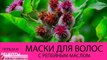 Маски для волос с репейным маслом. РЕЦЕПТЫ масок с репейным маслом для волос на все случаи жизни!