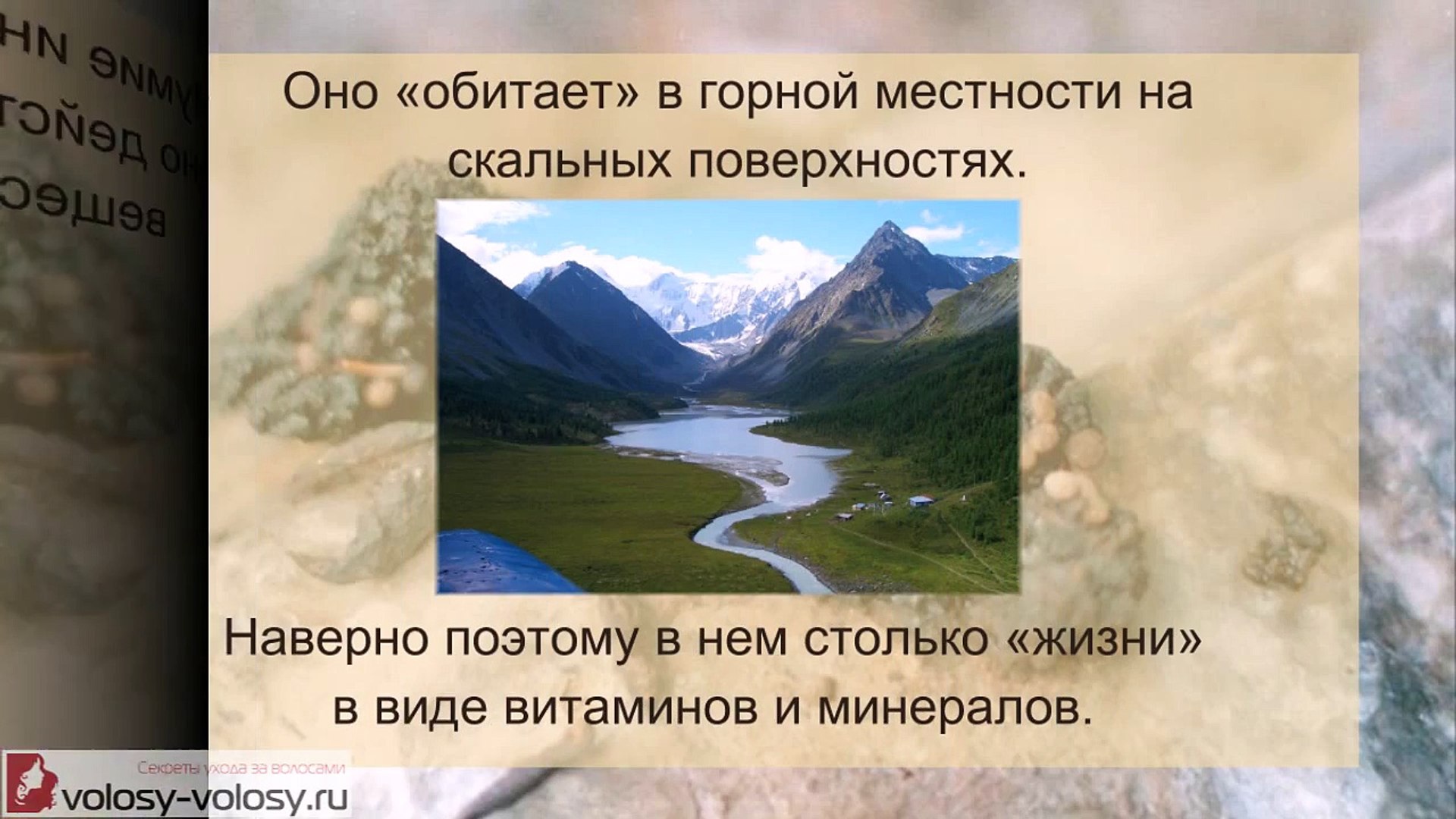 ⁣Мумие для волос. ПРИМЕНЕНИЕ мумие для волос. Маски для волос с мумие