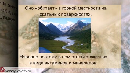 Мумие для волос. ПРИМЕНЕНИЕ мумие для волос. Маски для волос с мумие