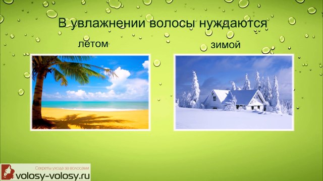 Увлажняющие маски для волос с оливковым маслом. 5 САМЫХ лучших увлажняющих масок для волос