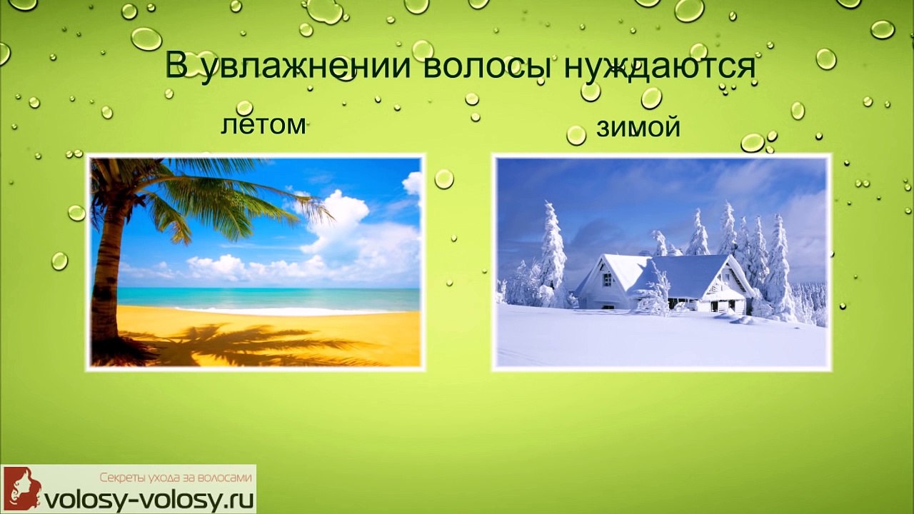 Увлажняющие маски для волос с оливковым маслом. 5 САМЫХ лучших увлажняющих масок для волос