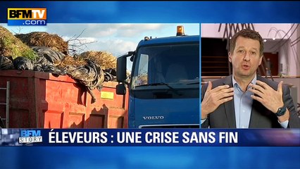 Jadot regrette le financement d'entreprises qui "exportent de la viande de mauvaise qualité"