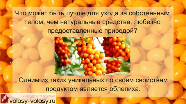 Облепиховое масло для волос. МАСКИ для волос с облепиховым маслом на все случаи жизни