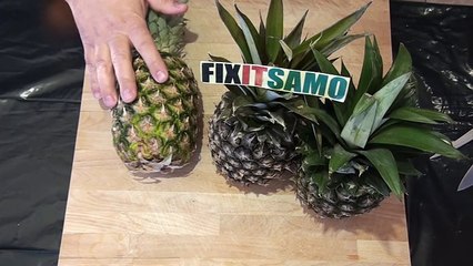 Different ways to serve and cut Pineapple