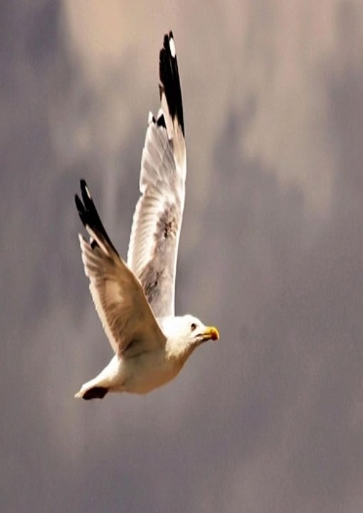 첫충15% ♛「〃GT-77WAY.COM〃」♛추천코드: Win365