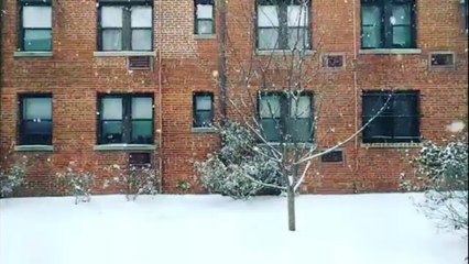 President&apos;s Day winter storm means snow again for D.C. region