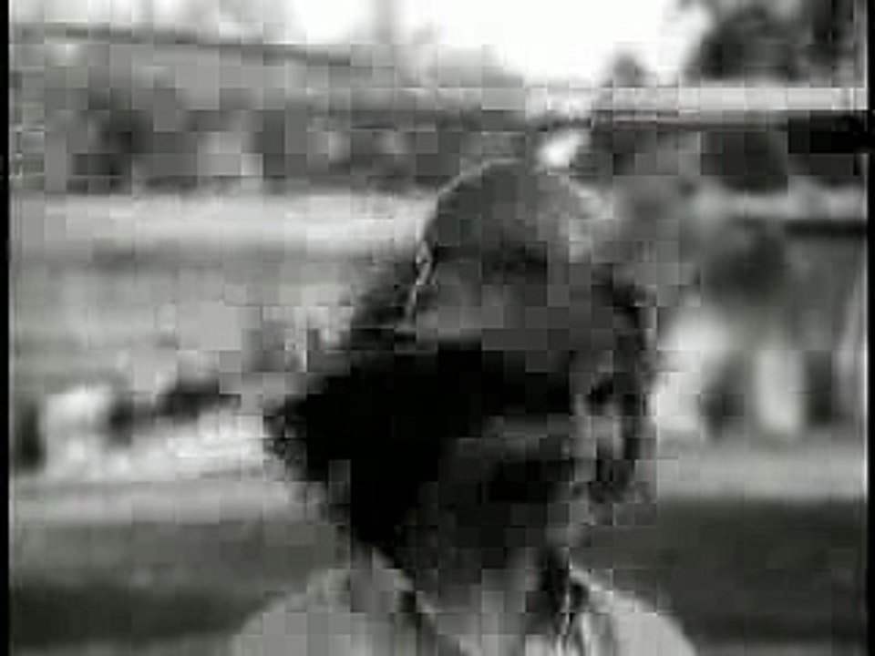Swing Wing - (Original version)