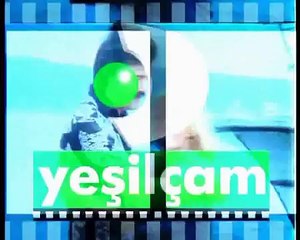 Canlı D Smart İzle