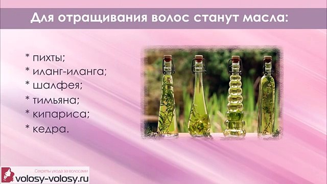 Эфирные масла для волос. ЛУЧШИЕ масла на все случаи жизни!
