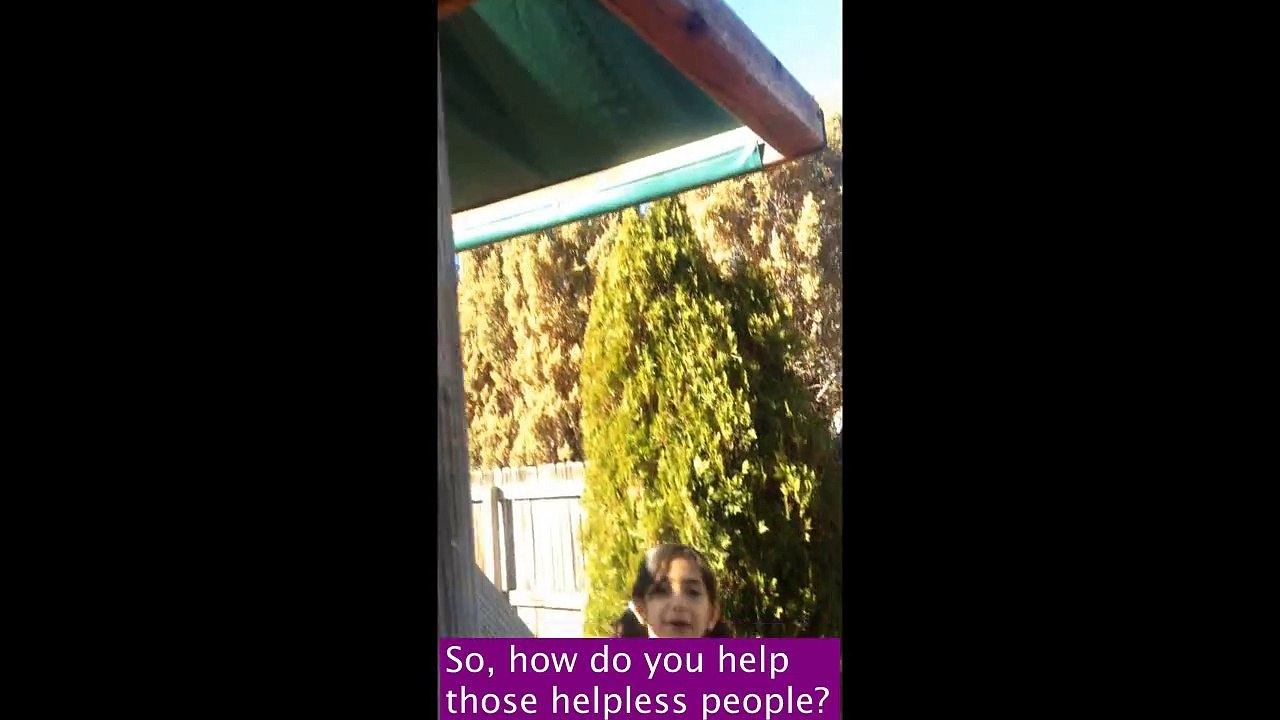 Haseeb Ur Rehman- Solar Fruit Drying Project