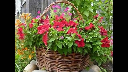 Цветники на даче своими руками Интересные идеи