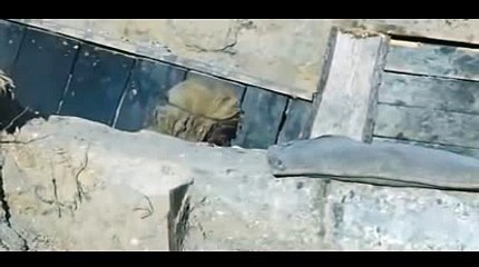 바카라추천싸이트あ＼＼【KOP77。COM】＼＼ぴ우리카지노바카라게임